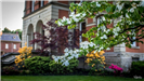 White Blossoms on a Tree in the Courthouse Yard