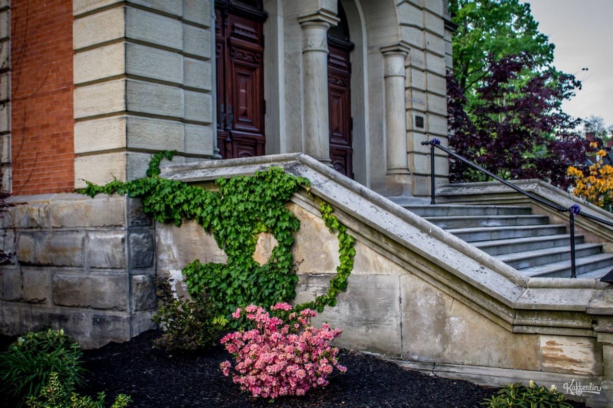 Ivy Growing on the Front Stairs of the Courthouse